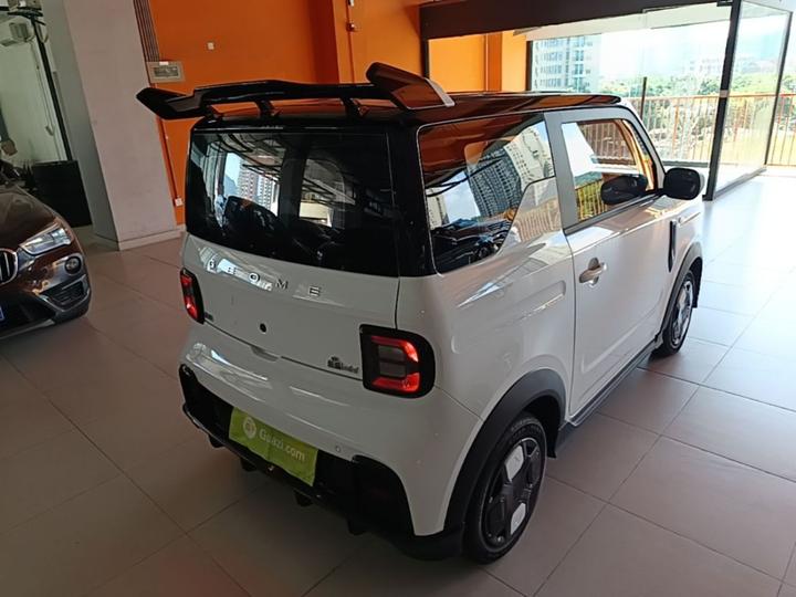 2025 210km Panda photo 6