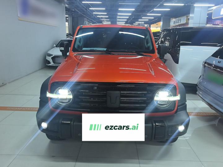 300 2021 Off-road 2.0T Conqueror photo 2