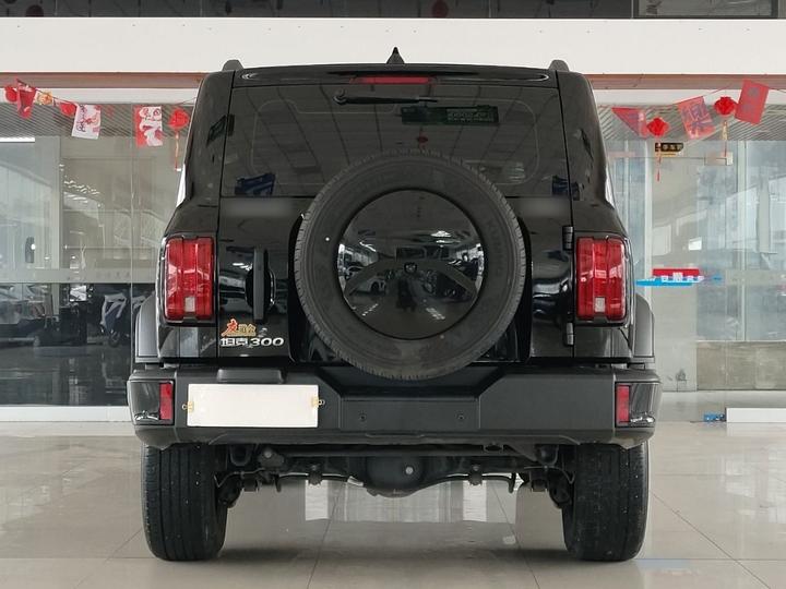 300 2024 2.0T Conqueror photo 7