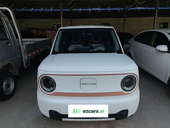 2024 Panda mini 200km Endurance Bear photo 2