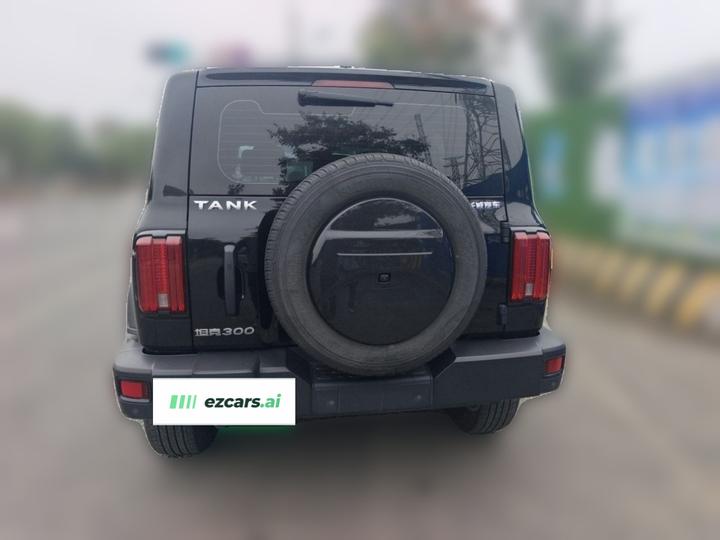 300 2023 Off-road 2.0T Conqueror photo 5