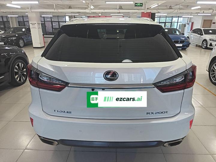 RX 2016 300 RWD Elite China V photo 5