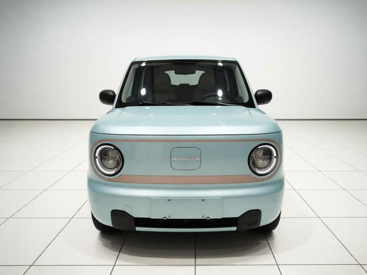 2024 Panda mini 200km Endurance Bear photo 2