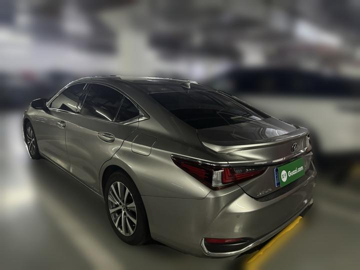 ES 2018 300h Excellence China VI photo 4