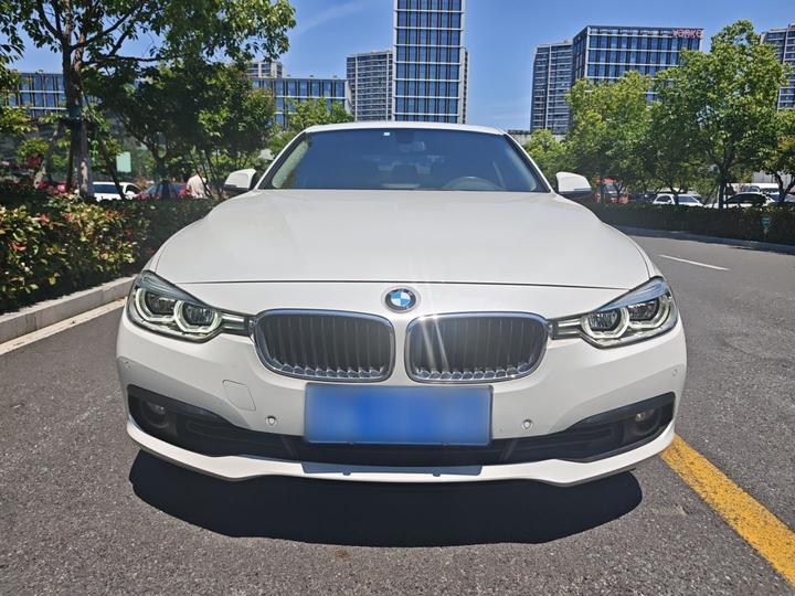 3 Series 2018 318i photo 2
