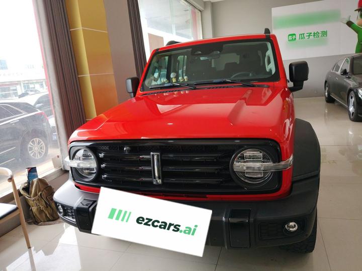 300 2021 Off-road 2.0T photo 2