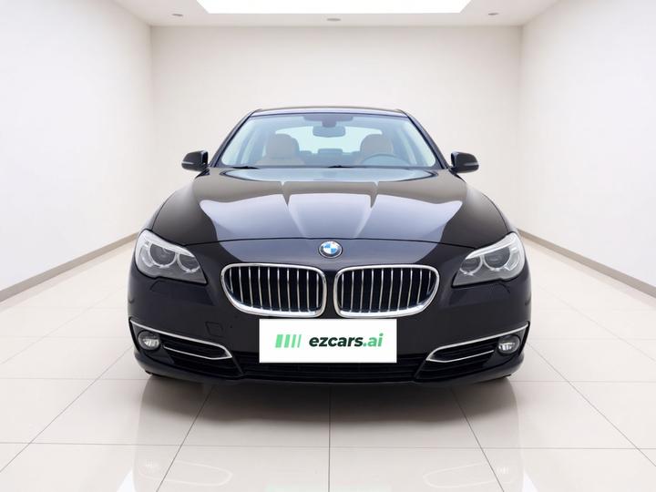 5 Series 2014 525Li Luxury Design Package photo 2