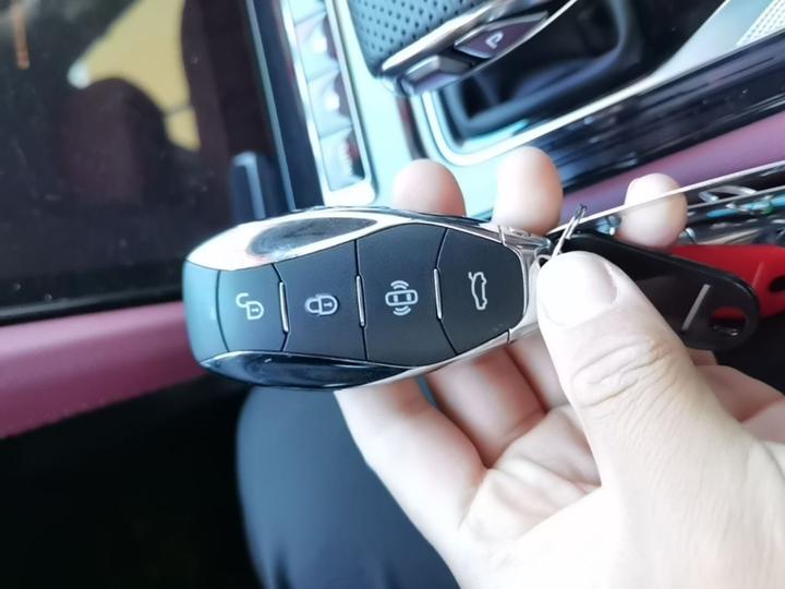 H5 PHEV 2025 130 photo 8