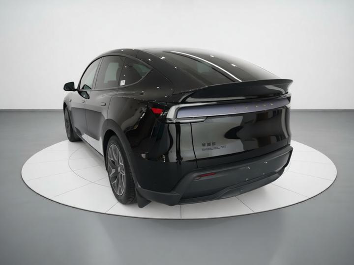Model Y L 2025 Long Range AWD photo 4