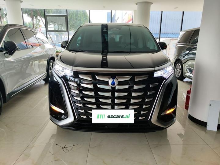 D9 2024 DM-i 980 AWD Noble photo 2