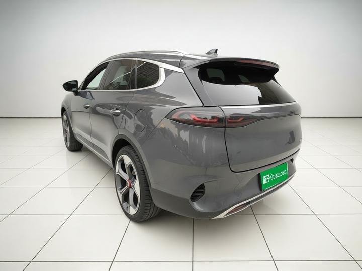 X 2020 PHEV Flagship photo 4