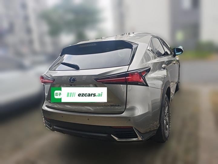 NX 2020 300h FWD China VI photo 6