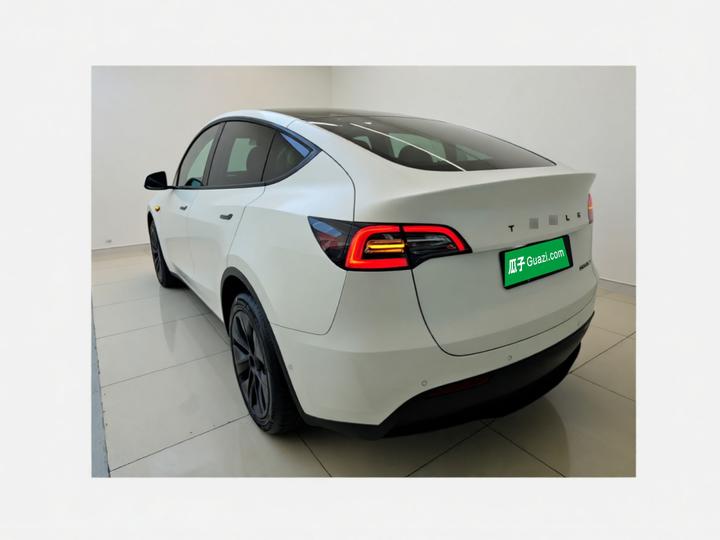Model Y 2023 Long Range AWD photo 4