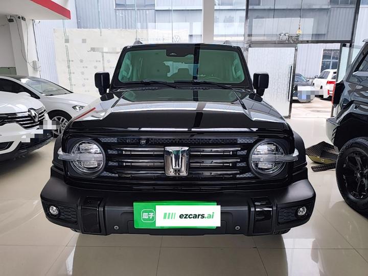 300 2021 Off-road 2.0T Conqueror photo 2