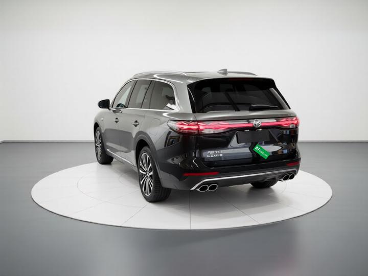 Fulwin T11 2026 220 AWD photo 4