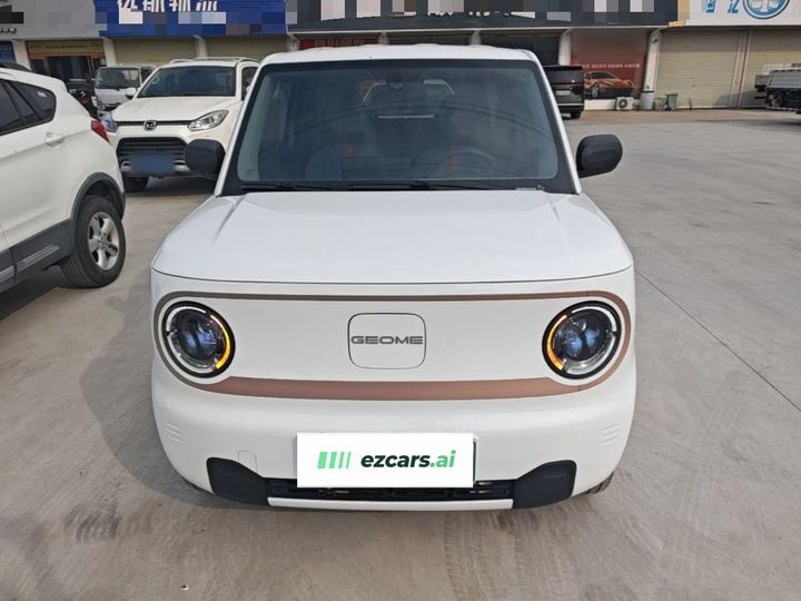 2023 Panda mini 200km Endurance Bear photo 2