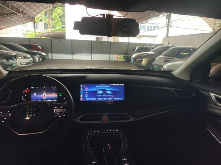 Bluelectric E5 2023 1.5L DE-i 100KM 5-Seater photo 6