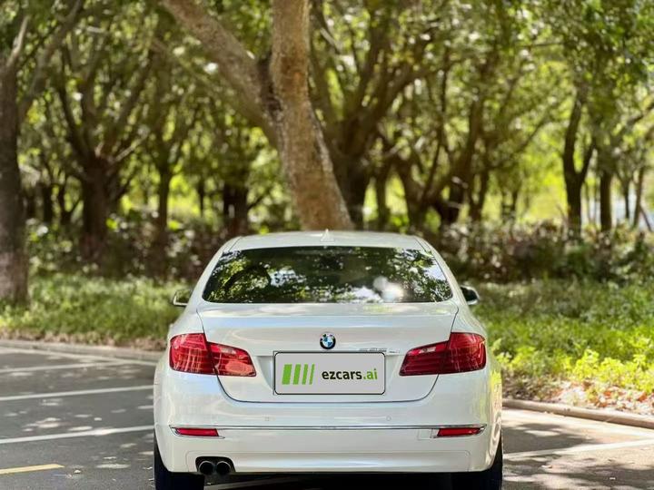 5 Series 2014 525Li Luxury Design Package photo 5