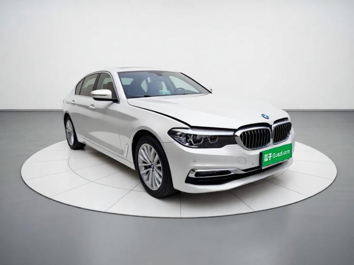 5 Series 2019 530Li Leading Luxury photo 3