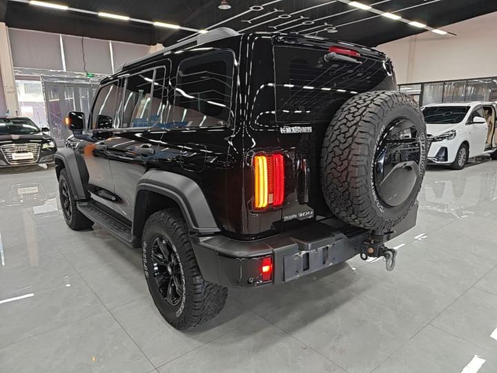 300 2024 2.0T Conqueror photo 4