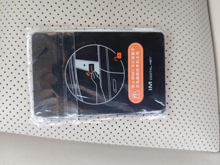 IM Motors LS6 2026 EV Max photo 8