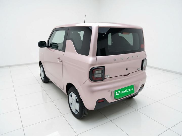2024 Panda mini 200km Endurance Bear photo 4