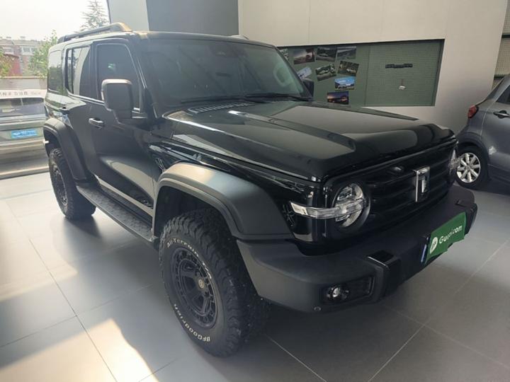 300 2021 Off-road 2.0T Conqueror photo 3