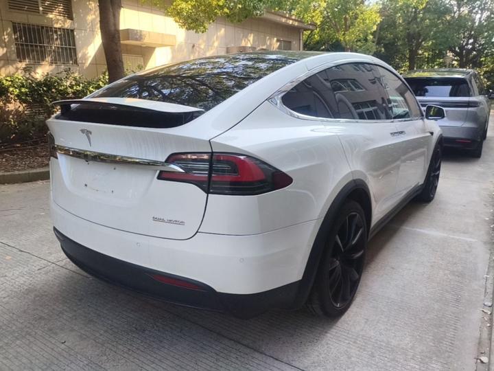 Model X 2019 Performance Performance photo 4