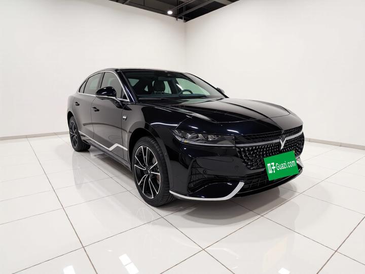 Voyah Passion 2024 PHEV AWD Extended Range Flagship photo 3