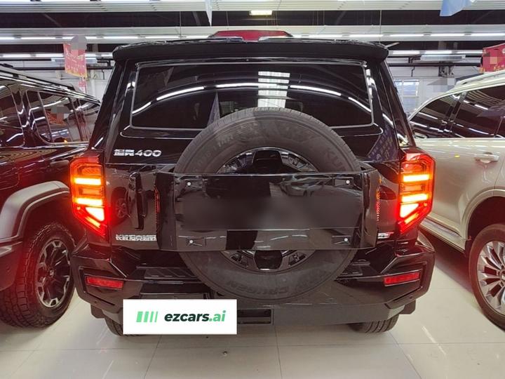 400 EV 2024 Hi4-T Off-road photo 5