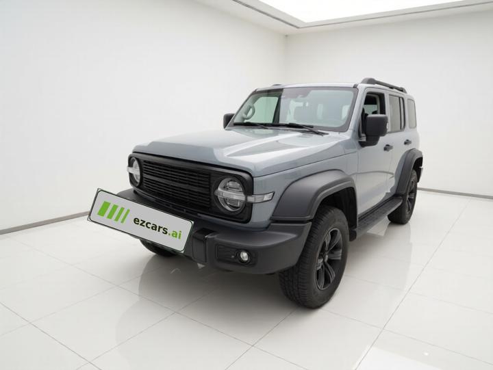 300 2021 Off-road 2.0T Conqueror