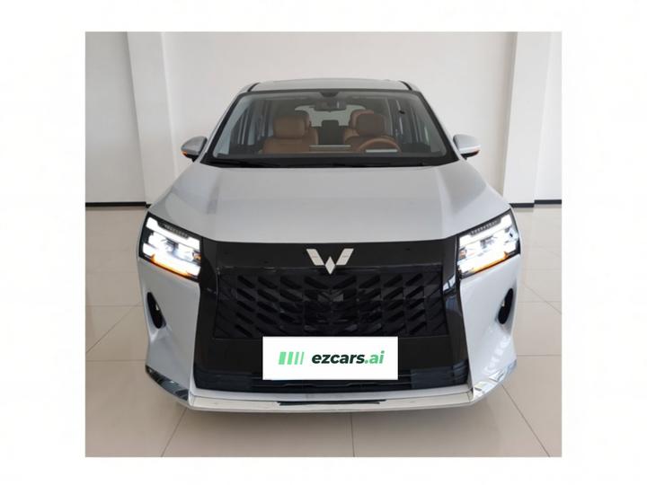 730 EV 2025 125km Luxury photo 2