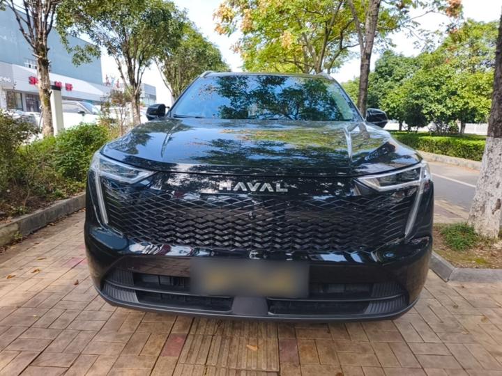 MAX 2023 1.5L Hi4 105 AWD Pilot photo 2