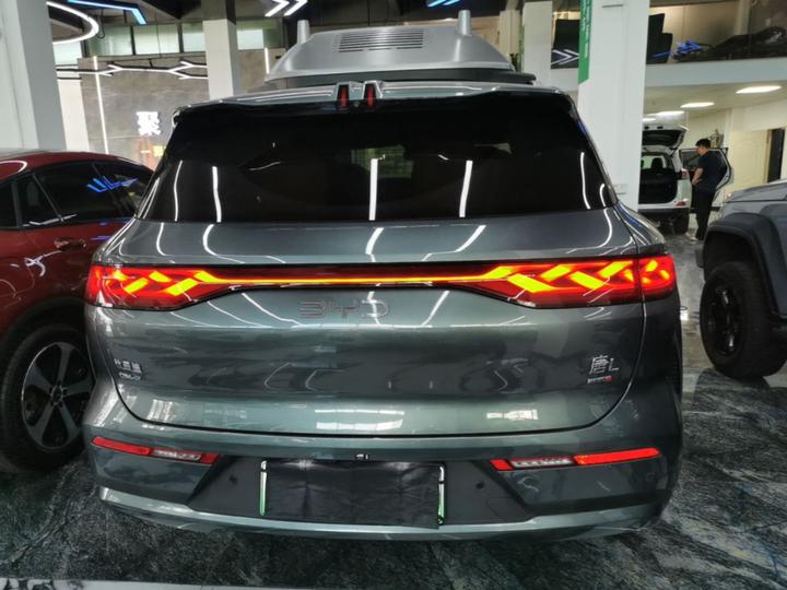 Tang L 2025 DM 175KM photo 3