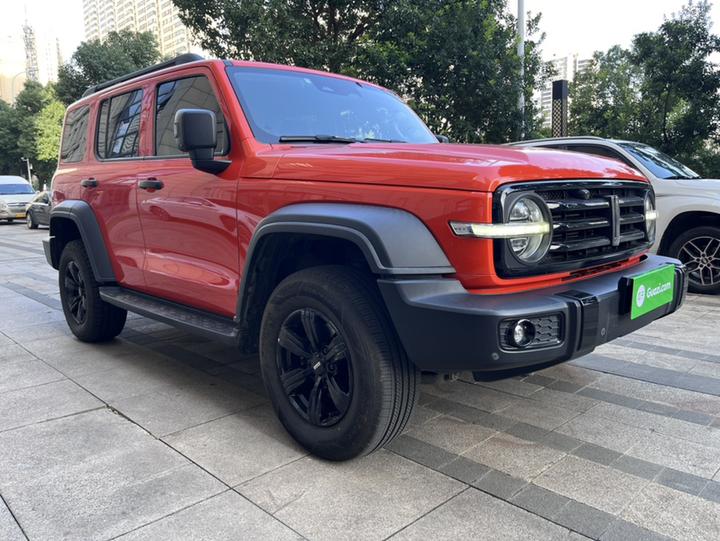 300 2021 Off-road 2.0T Conqueror photo 2