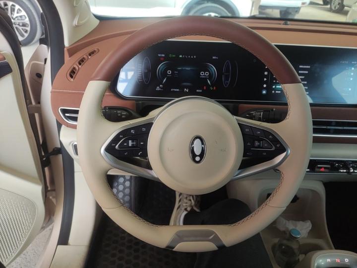 Good Cat 2022 400km Standard Range Luxury NCM photo 5