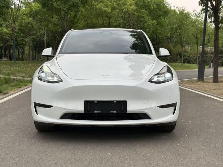 Model Y 2021 Long Range AWD photo 2