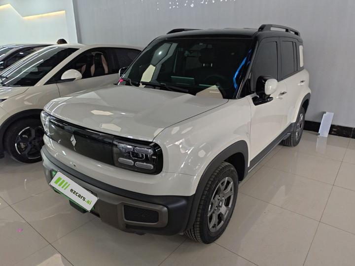Plus 2026 301km Flagship