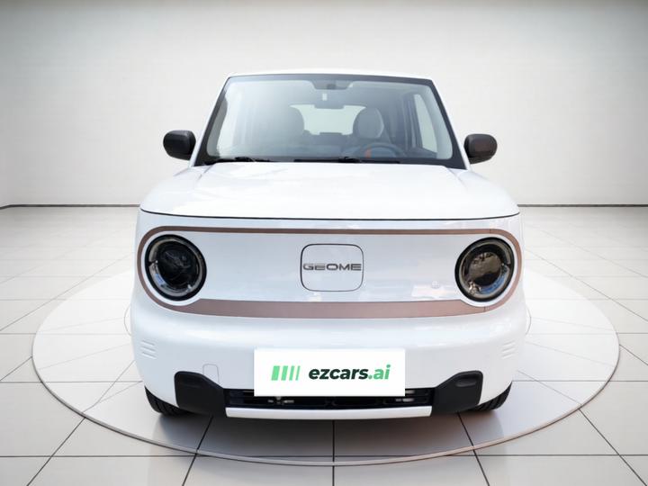 2023 Panda mini 200km Endurance Bear photo 2