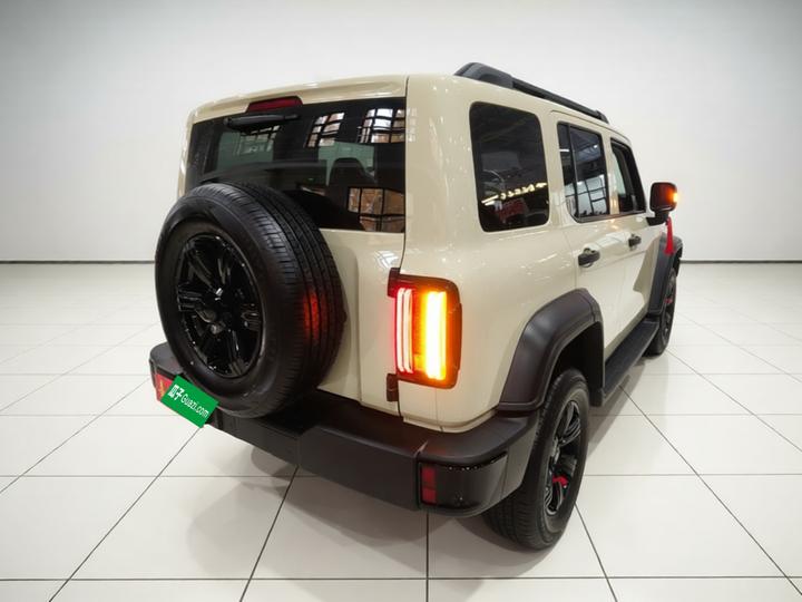 300 2025 2.0T Petrol Conqueror photo 6