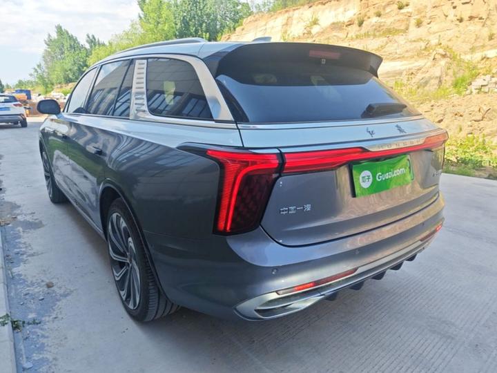 E-HS9 2022 660km 4-Seater photo 4