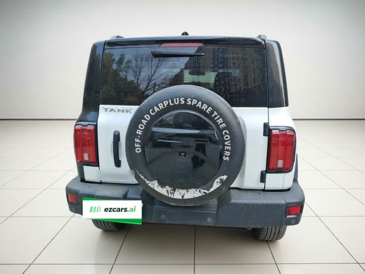 300 2021 Off-road 2.0T Conqueror photo 3