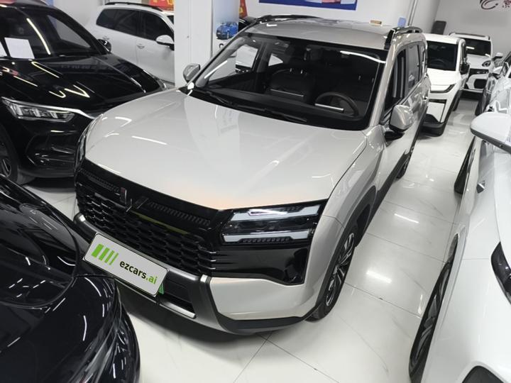 560 EV 2026 125km Luxury