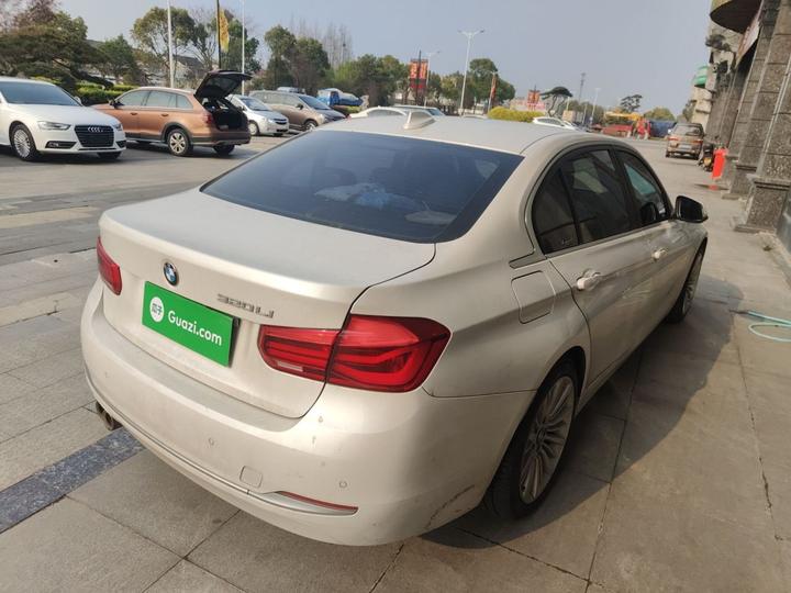 3 Series 2018 320Li Fashion photo 4