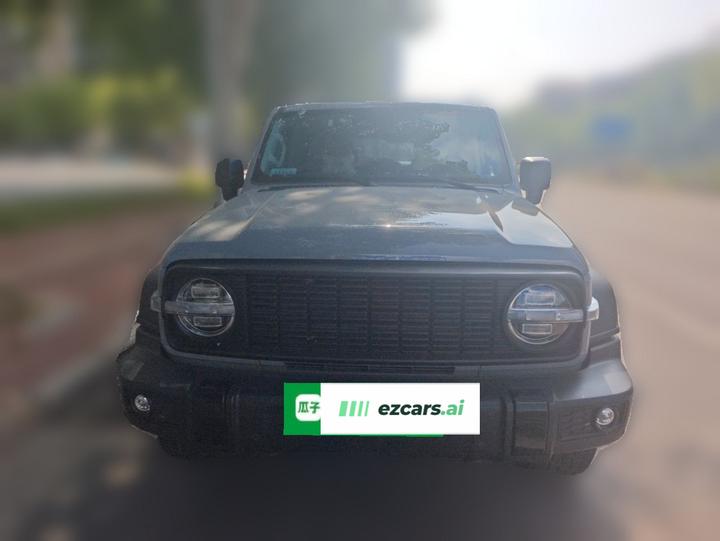 300 2021 Off-road 2.0T Conqueror photo 2