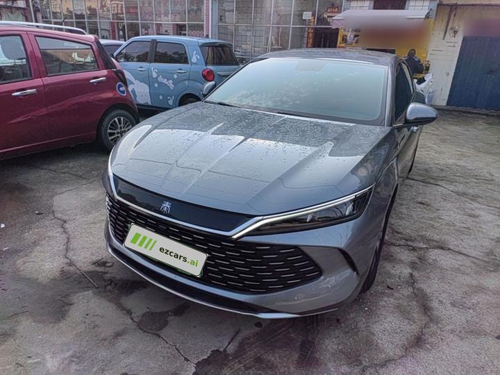 Qin L 2024 DM-i 80KM Leading