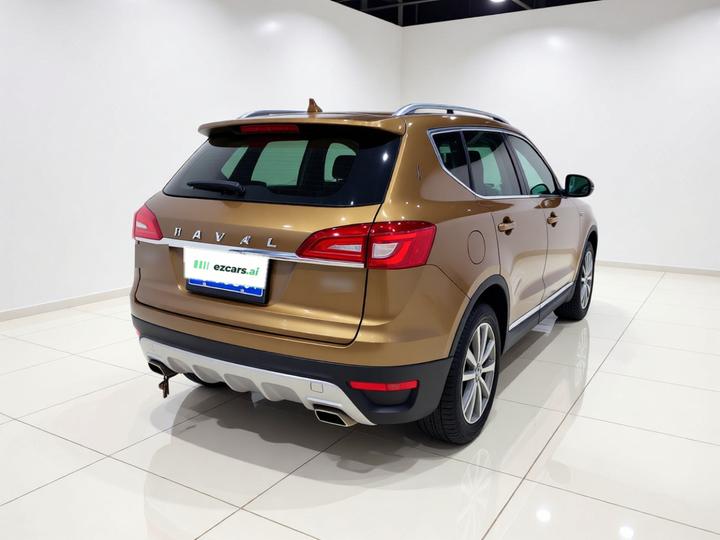 H7 2016 Blue Label H7 2.0T AT Luxury photo 6
