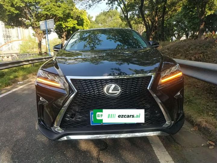RX 2016 300 RWD Comfort China V photo 2