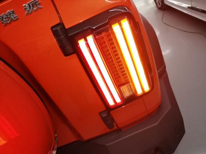 300 2021 Off-road 2.0T Conqueror photo 7