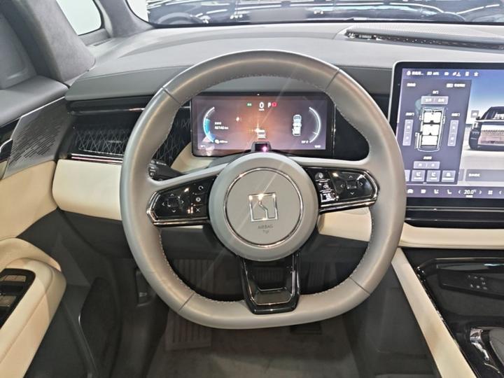 009 2022 WE photo 6